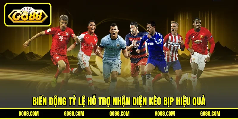 Biến động tỷ lệ hỗ trợ nhận diện kèo bịp hiệu quả Biến động tỷ lệ hỗ trợ nhận diện kèo bịp hiệu quả