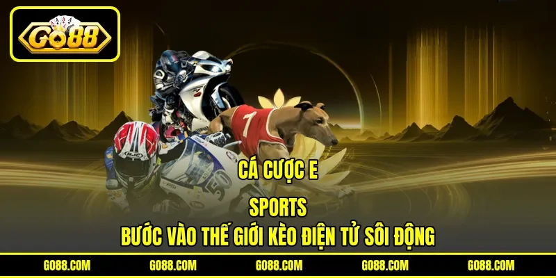 Cá Cược E-Sports - Bước Vào Thế Giới Kèo Điện Tử Sôi Động