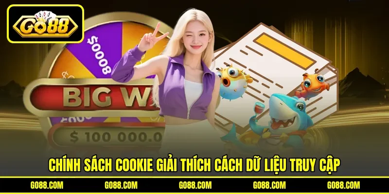 Chính sách cookie giải thích cách dữ liệu truy cập